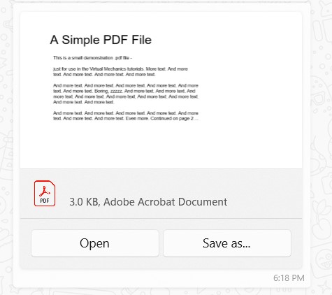 DOCUMENT_EXAMPLE